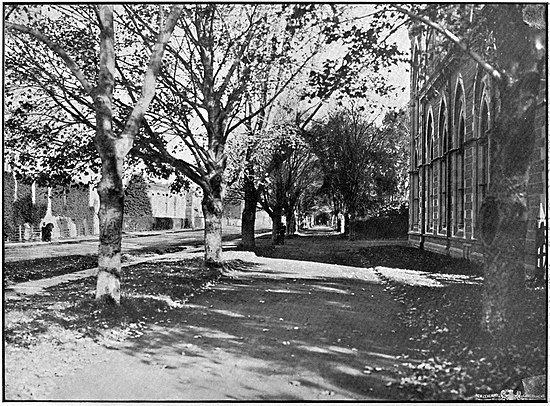 Entrance to the Christchurch Museum, there are trees along the path.