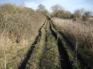 English: Fenland byway Slightly rutted here, v...