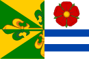 Drapeau de Dynín