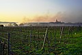Zemědělci pálí slámu, aby ochránili vinohrady před jarními mrazy