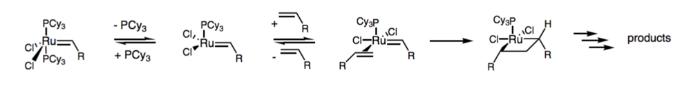 Grubbs Catalyst Mechanism