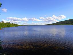 Harrträsket, juni 2016.