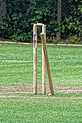 A wicket which has been disturbed from its normal position. For a hit wicket dismissal to occur, a batter must disturb the wicket with their own person or equipment. Highgate Cricket Club wicket at Crouch End, Haringey, London, England 02.jpg