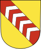 Wapen van Hochfelden