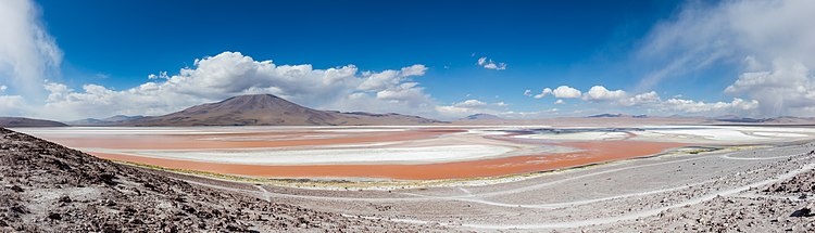 Озеро Лагуна-Колорадо на юго-западе Боливии