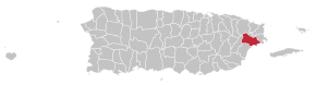 Муніципалітет Нагуабо на карті Пуерто-Рико