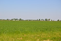 Fields east of Rollersville