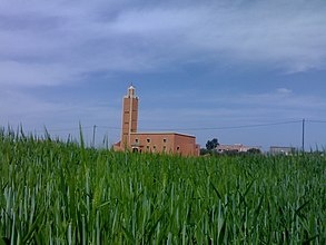 Moschee und Frühjahrsfelder bei Oulad Frej