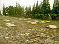 Basamenti di colonne