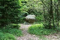 Steinfelder detail (1979) in Neuenkirchen