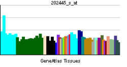 PBB GE NOTCH2 202445 s ĉe tn.png