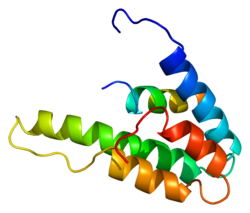 PDB представлено на основе 1g1e.