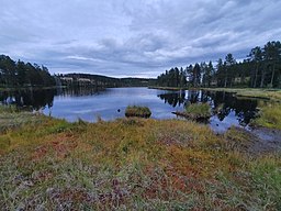 Vy mot öster från den västra änden av tjärnen.