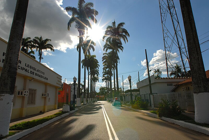 Ficheiro:Rua das Palmeiras.jpg