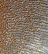 Rub' al Khali (Arabian Empty Quarter) sand dunes imaged by Terra (EOS AM-1).jpg
