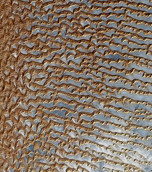 Image of sand dunes in Rub' al Khali