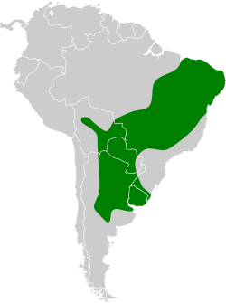 Distribución geográfica del pijuí frentigrís.