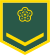 Taiwan-army-OR-1.svg