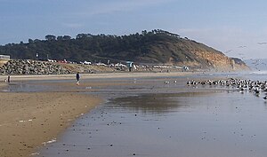 View of beach with Torrey Pines State Park in ...