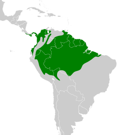 Distribución geográfica del mosquerito coronado.