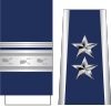 US-Air Force-McPeak-O8.svg