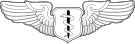 United States Air Force Flight Surgeon Badge.svg