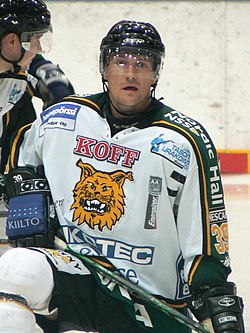 Viitakoski_Vesa_Ilves_2.jpg