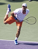 Viktor Troicki