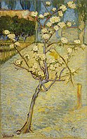 Blossoming Pear Tree, March–April 1888 Van Gogh Museum, (F405)