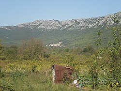 Česvinica