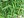 Berkas: Bamboo leaves.jpg (row: 16 column: 12 )