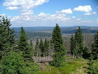 Mittelgebirgslandschaft des Bayerischen Waldes mit teilweise abgestorbenem Wald