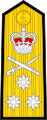 Погон вице-адмирала ВМФ Великобритании[1]