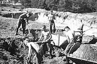 Membros do Reichsarbeitsdienst trabalhando.