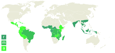 Kaffeeanbaugebiete der Welt: r  robusta, a  arabica, m  gemischt
