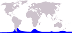 Hourglass dolphin range