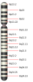 Vorschaubild der Version vom 17:46, 29. Dez. 2011