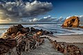 Santa Cruz beach