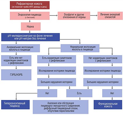 Алгоритм диагностики функциональной изжоги и гиперсенситивного у пациентов с рефрактерной изжогой (изжогой, которая не лечится ингибиторами протонной помпы в двойной терапевтической дозе)