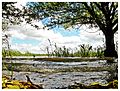 Miniatura para Parque nacional Esteros de Farrapos e Islas del Río Uruguay