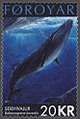 80px-Faroe_stamp_403_sei_whale_%28Balaenoptera_borealis%29