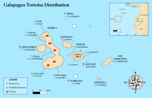 Un mapa de les Galápagos amb etiquetes per als noms de les illes i les seves espècies autòctones de tortugues