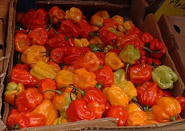 Skoč bonet čili paprika na Karipskom tržištu