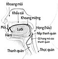 Hình xem trước của phiên bản lúc 15:45, ngày 21 tháng 10 năm 2020