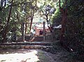 伊加奈志神社の境内