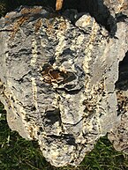 Soil clod featuring yellow streaks of jarosite accumulation