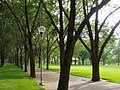 Jefferson National Expansion Memorial in St. Louis