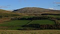 Lank Rigg from Flat Fell