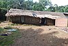 Habitation en paille à l'est du Cameroun