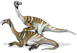 Two Nanshiungosaurus